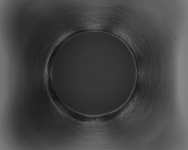 X0000095930674200801111255
