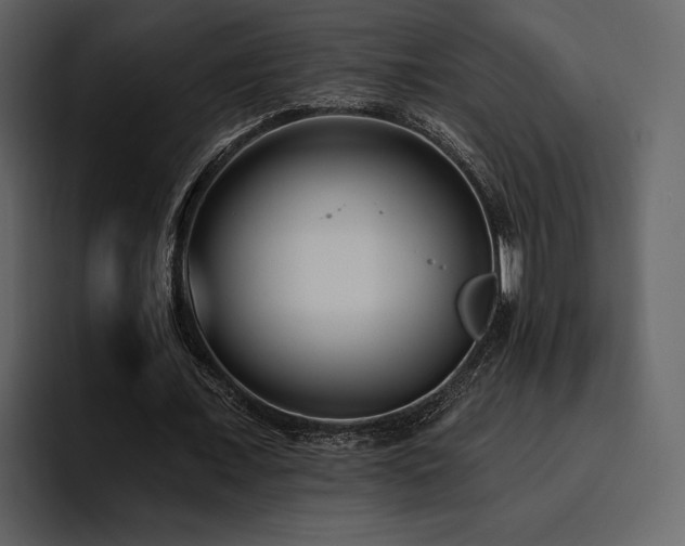 X0000095930675200801111255