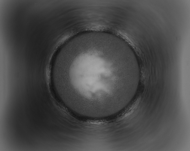X0000095930679200801111255