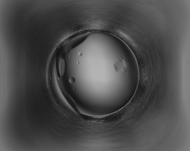 X0000095930680200801111255