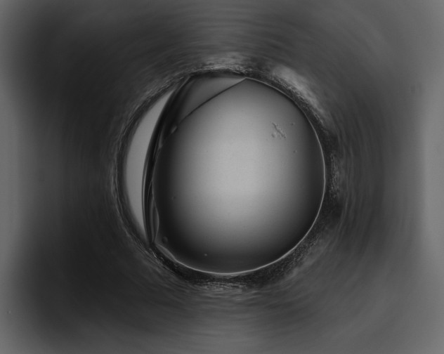 X0000095930681200801111255