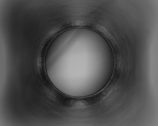 X0000095930683200801111255