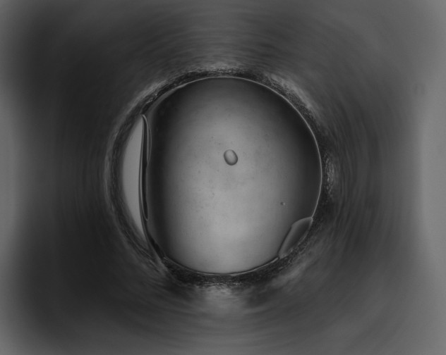 X0000095930684200801111255
