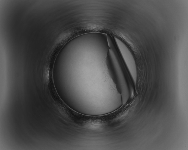 X0000095930685200801111255