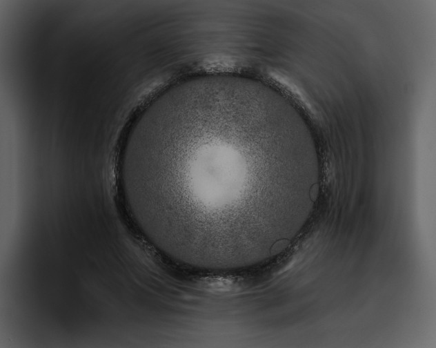 X0000095930687200801111255