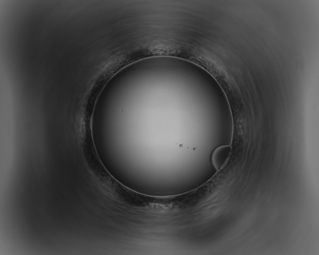 X0000095930690200801111255