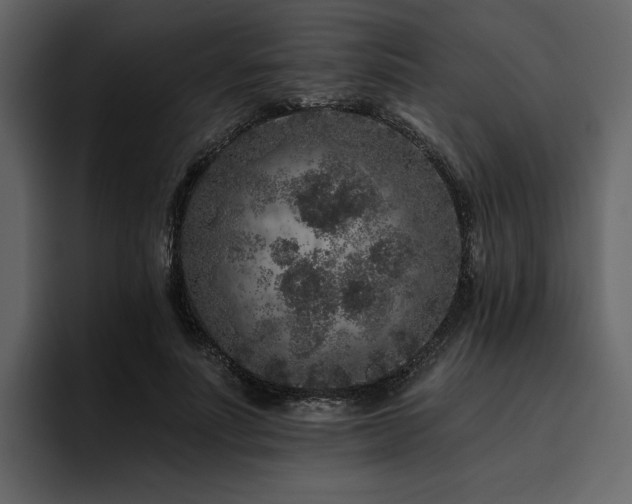 X0000095930691200801111255
