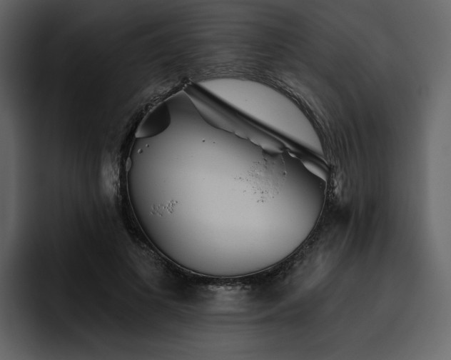 X0000095930693200801111255