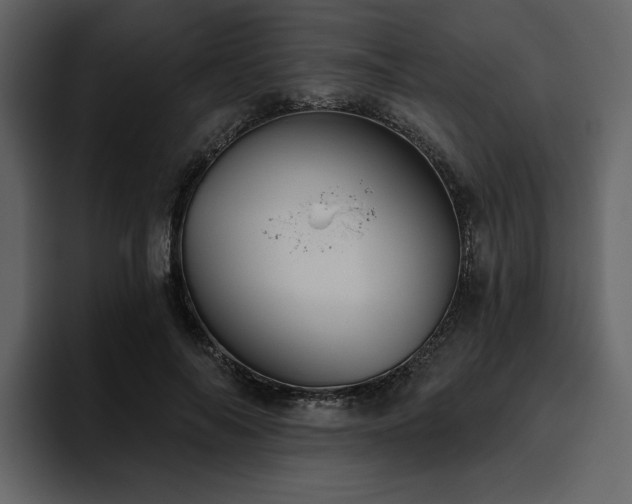 X0000095930694200801111255