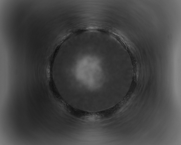 X0000095930696200801111255