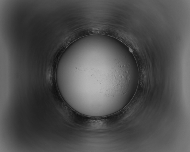 X0000095930698200801111255