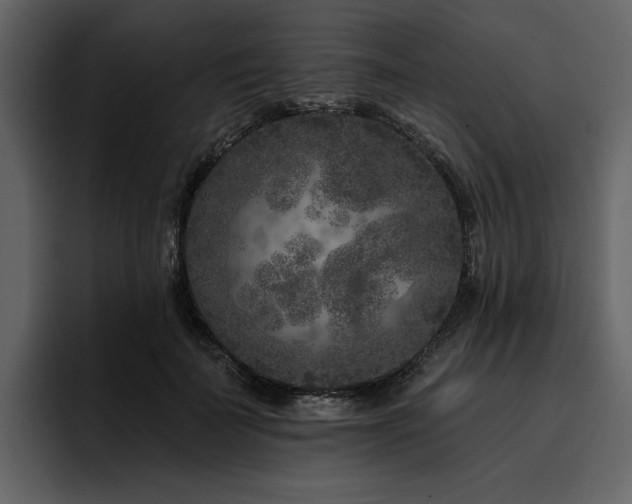 X0000095930699200801111255