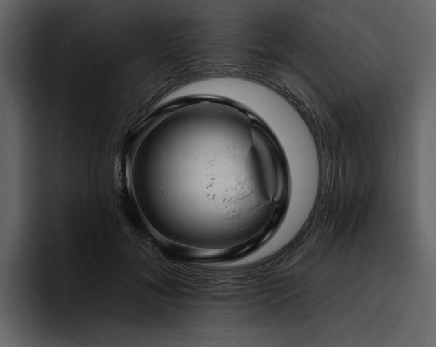 X0000095930700200801111255