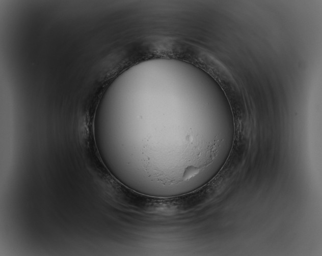 X0000095930702200801111255