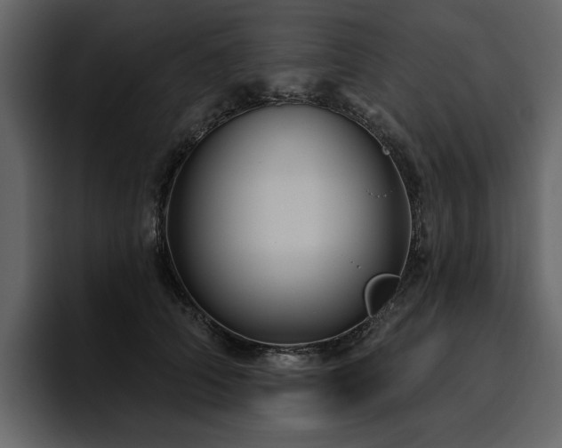 X0000095930706200801111255