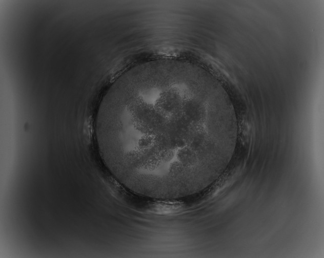 X0000095930707200801111255