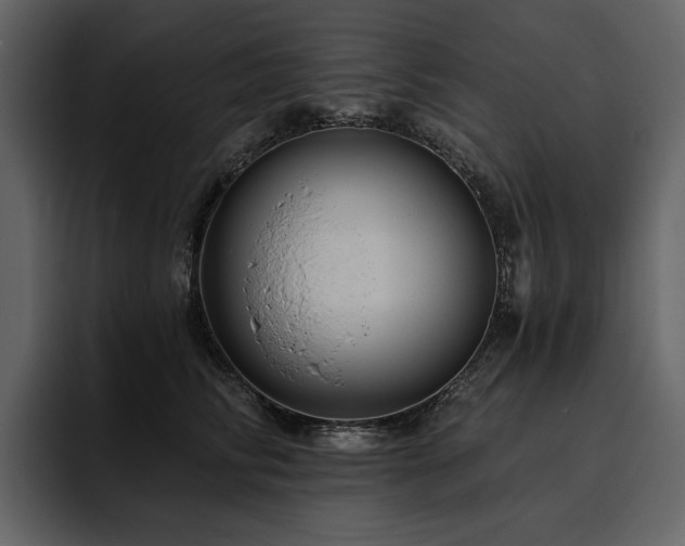 X0000095930710200801111255