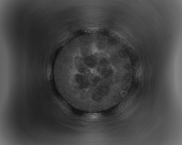 X0000095930711200801111255