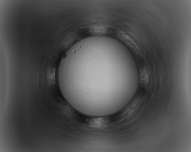 X0000095930717200801111255