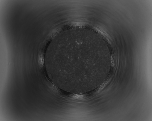 X0000095930718200801111255