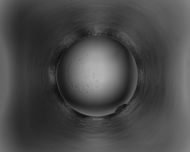X0000095930719200801111255