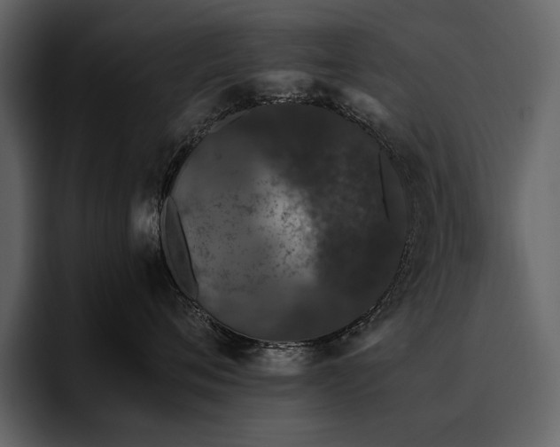 X0000095930720200801111255