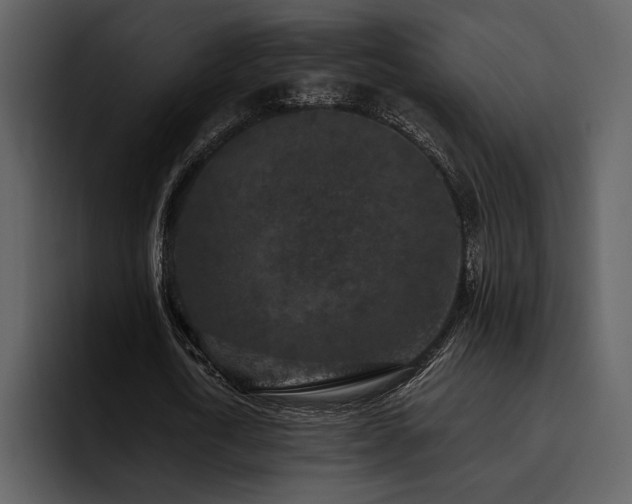X0000095930722200801111254