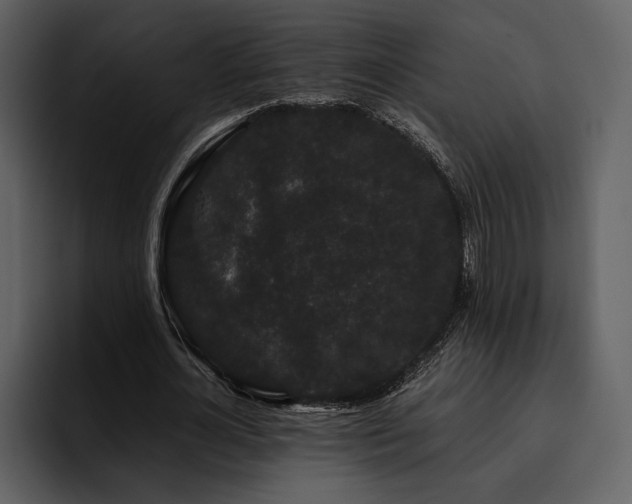 X0000095930724200801111254