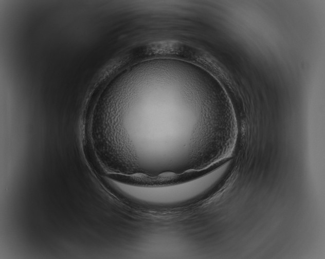 X0000095930725200801111254