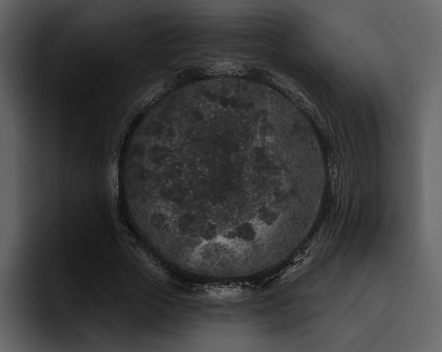 X0000095930729200801111254
