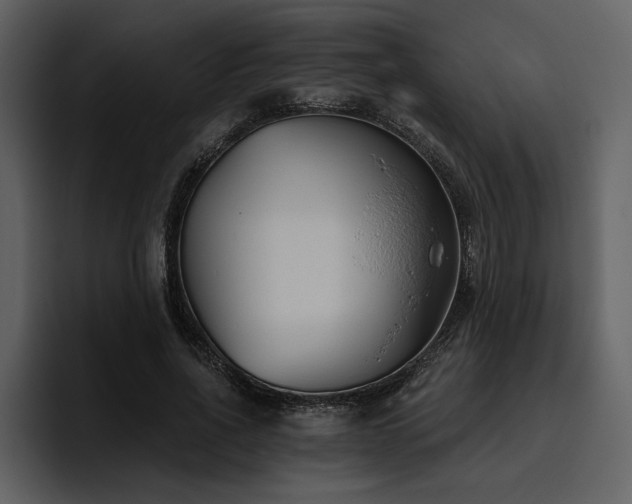 X0000095930734200801111254