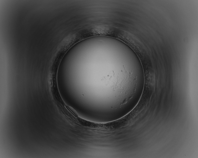 X0000095930738200801111254
