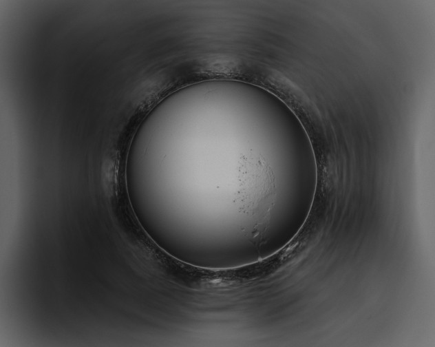 X0000095930739200801111254