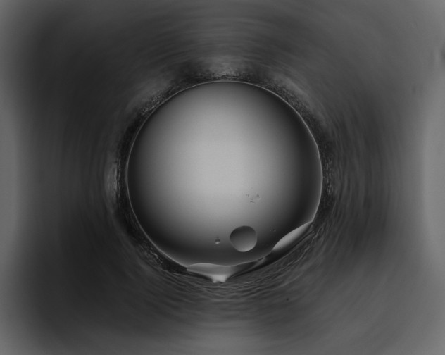 X0000095930740200801111254