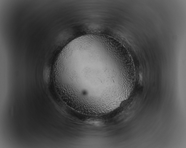 X0000095930742200801111255