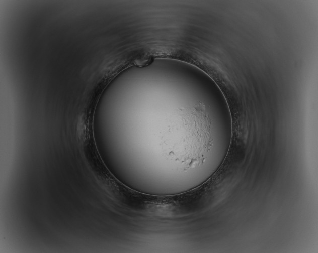X0000095930743200801111255