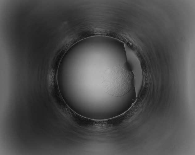 X0000095930744200801111255