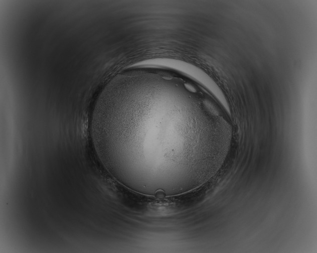 X0000095930745200801111255