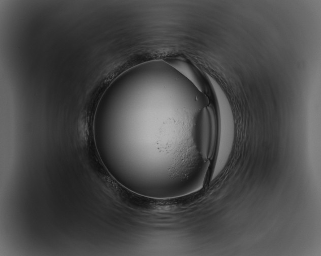 X0000095930746200801111255