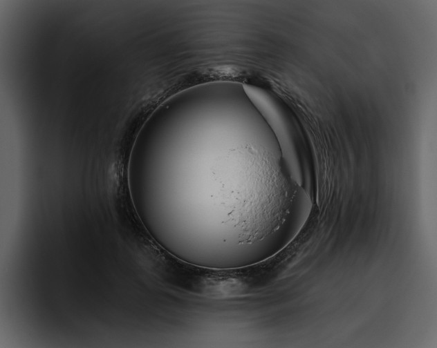 X0000095930747200801111255