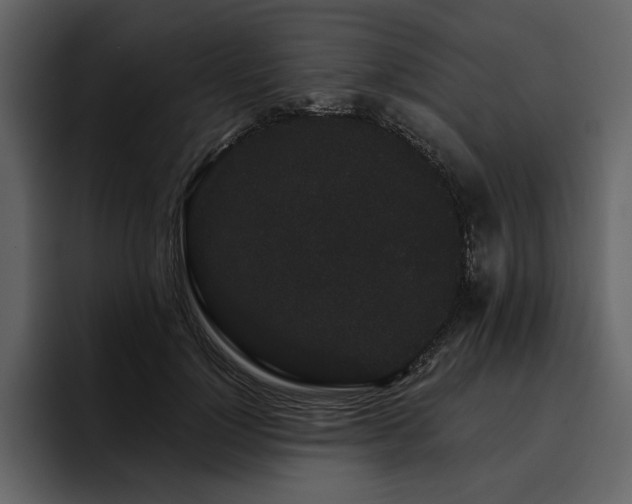 X0000095930748200801111255