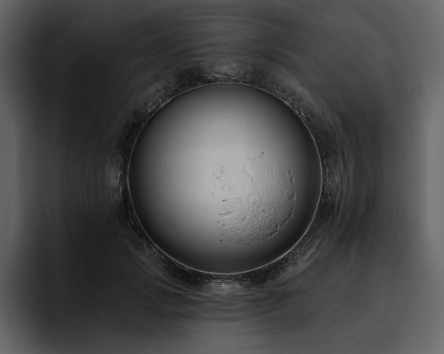 X0000095930749200801111255
