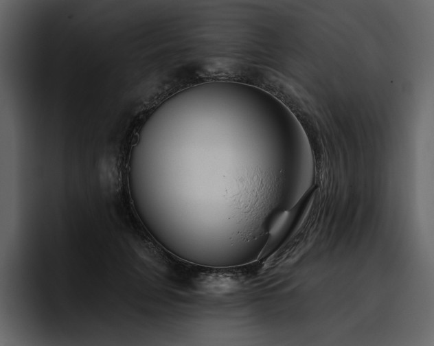 X0000095930751200801111255