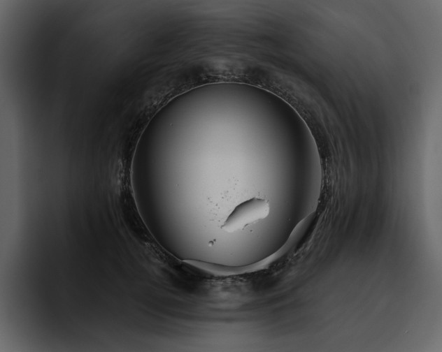 X0000095930752200801111255