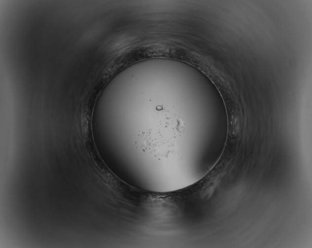 X0000095930753200801111255