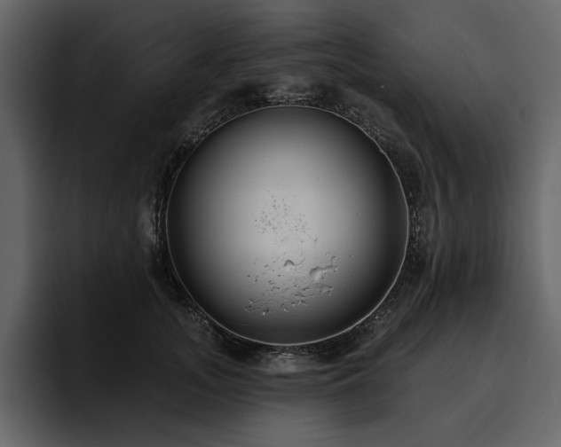 X0000095930755200801111255