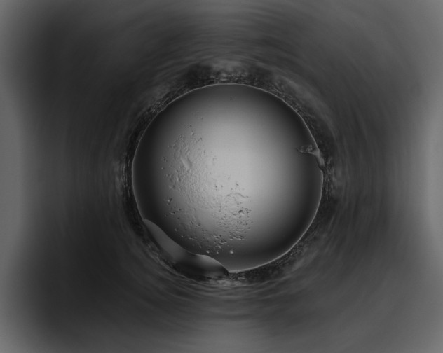 X0000095930756200801111255