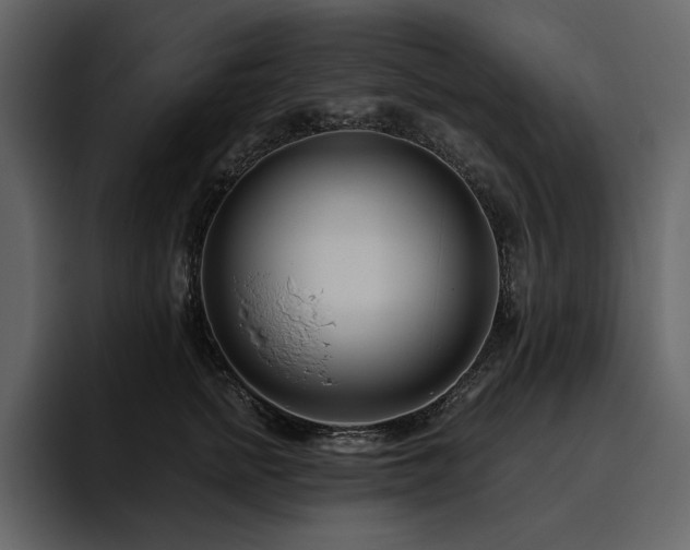 X0000095930758200801111255