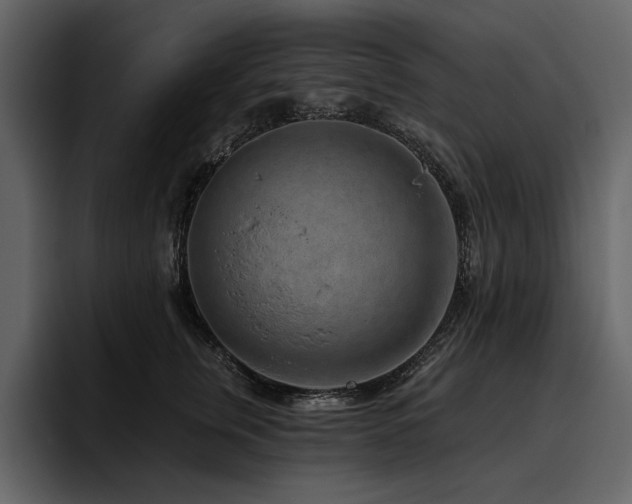 X0000095930759200801111255