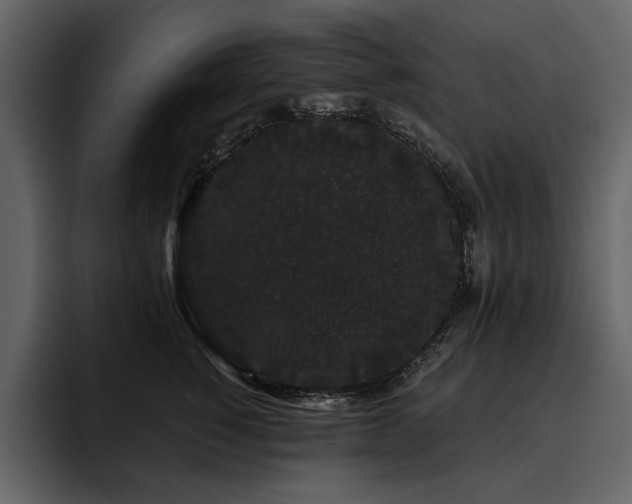 X0000095930760200801111255